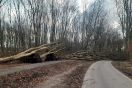Foto Gemeente Amstelveen
